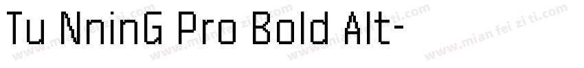 Tu NninG Pro Bold Alt字体转换